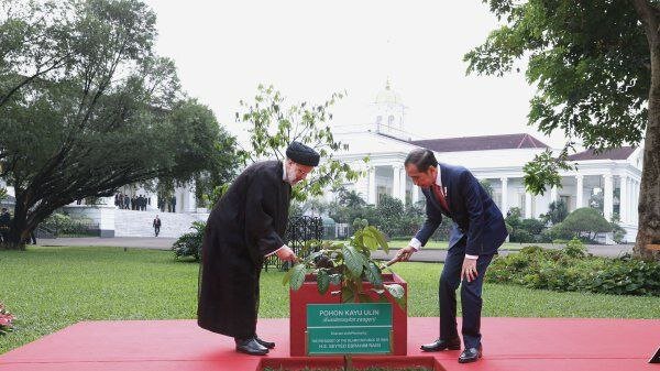 تصاویری از غرس نهال توسط روسای جمهور ایران و اندونزی  / شلیک ۲۱ گلوله توپ به افتخار حضور رئیسی در کاخ «مِردکا»