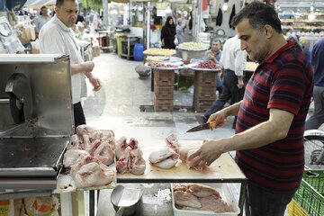 قیمت انواع مرغ در بازار تهران؛ ران مرغ بدون پوست بدون دنبالچه چربی سر ساق چند؟