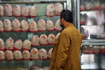 قیمت مرغ در میادین میوه و تره‌بار تهران اعلام شد
