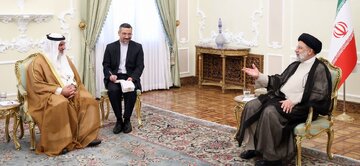 رئیسی در دیدار دبیرکل اوپک: برخی غربیها دنبال ایجاد «تفرقه» میان اعضای اوپک هستند