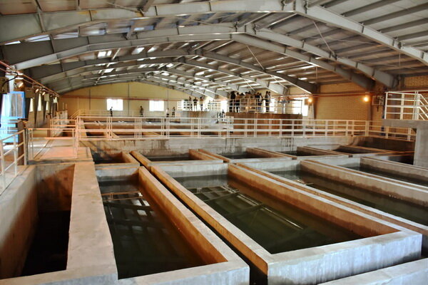 اتمام احداث خط انتقال و تصفیه خانه شهرستان میانه