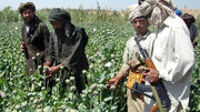 فلاحت‌پیشه: «شاهرگ» ترانزیت موادمخدر طالبان از ایران را بزنید /  خزانه آنان را از این «پول کثیف» کلان محروم کنید