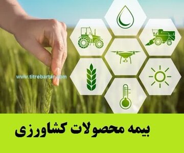 کسب عنوان برتر کشور توسط صندوق بیمه محصولات کشاورزی استان چهارمحال وبختیاری