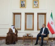 Iran, UAE will expand ties in both gov't, private sectors: FM