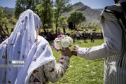 عروسی بختیاری/ عکس