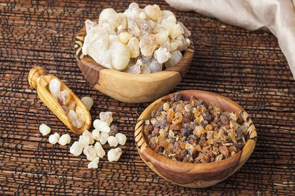 اصلاح یک باور ابهامآمیز؛ کندر، هوش و حافظه را زیاد میکند؟