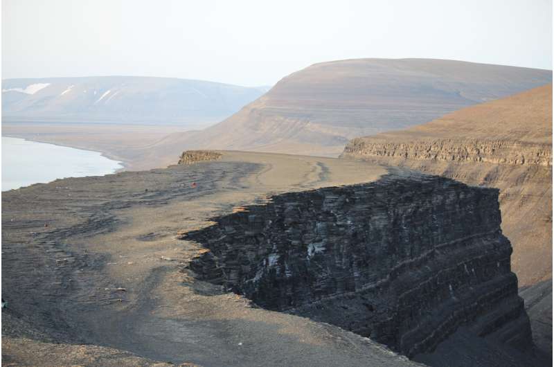 اشعه ایکس راز فسیل ۲۴۰ میلیون ساله را افشا کرد/ عکس