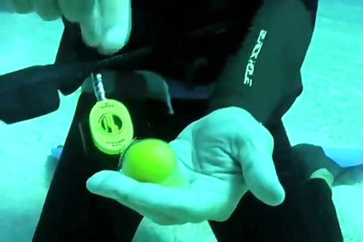 ببینید | آزمایش جالب شکستن تخم مرغ در زیر آب