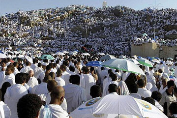 Amirabdollahian in touch with authorities on situation of Iranian hajj pilgrims