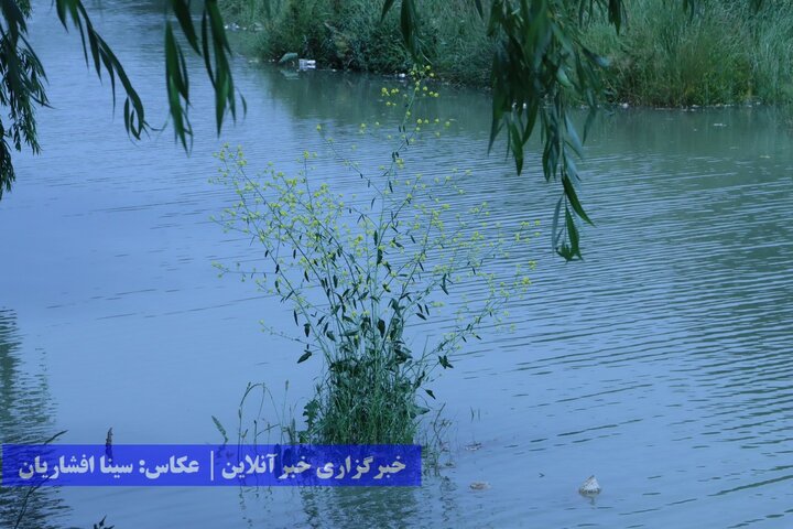 رودخانه فراموش شده