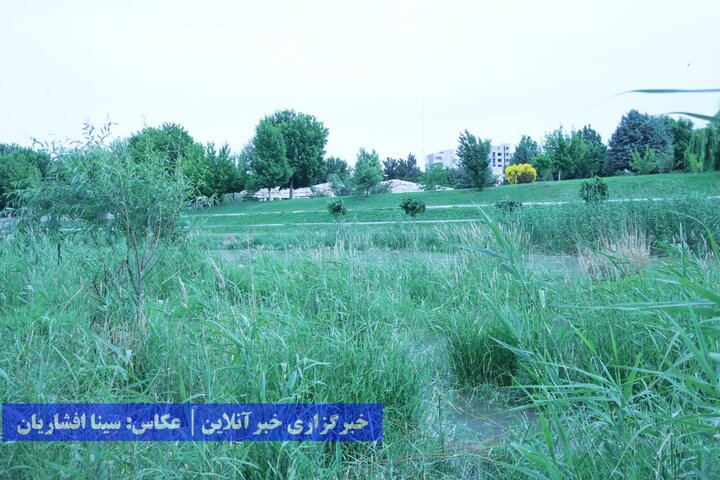 رودخانه فراموش شده