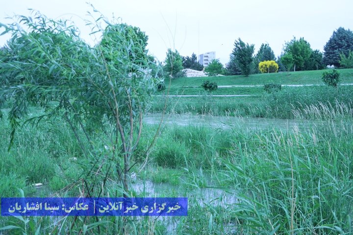 رودخانه فراموش شده