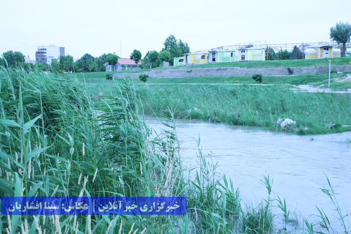 رودخانه فراموش شده