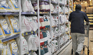 ممنوعیت واردات برنج لغو نشده / کشاورزان نگران نباشند