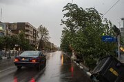 ببینید | آغاز طوفان شدید در تهران