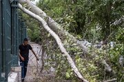 تصاویر | شکستن درخت‌های غول پیکر در تهران به دلیل وزش باد شدید
