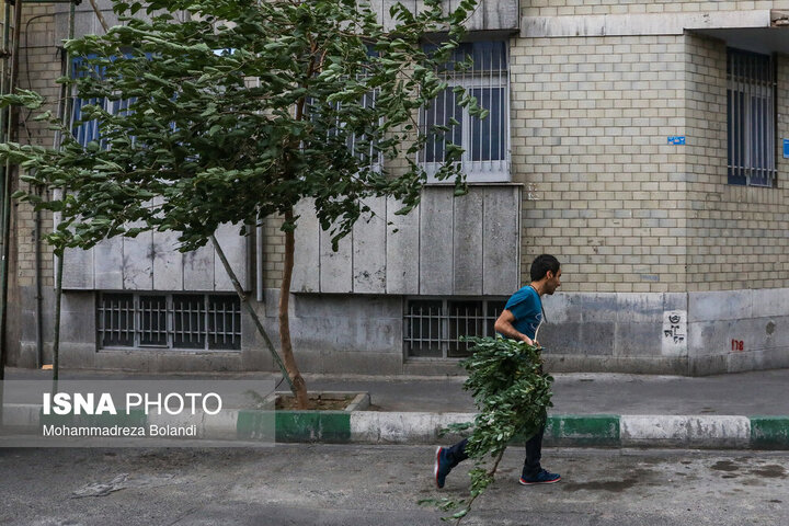 خسارات ناشی از وزش باد شدید در تهران