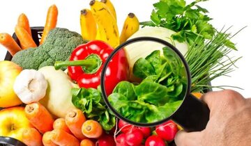 چگونگی سنجش ایمنی مواد غذایی در کشور / لزوم شناسنامهدار شدن زمینهای کشاورزی