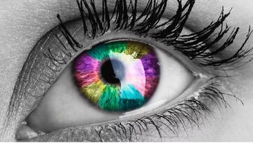 چرا رنگ چشم برخی بنفش است؟/ نادرترین رنگ چشم در جهان چیست؟ / عکس