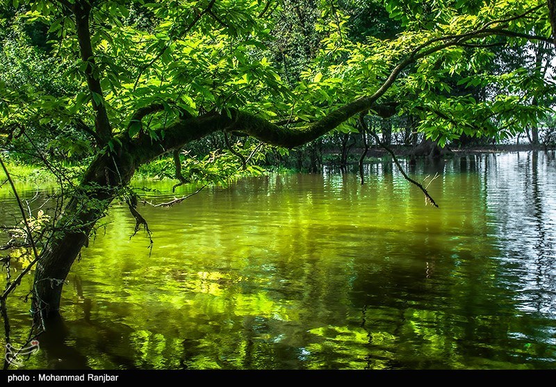 چشمانداز جالب دریاچه «نورماس» در رشت/ عکس