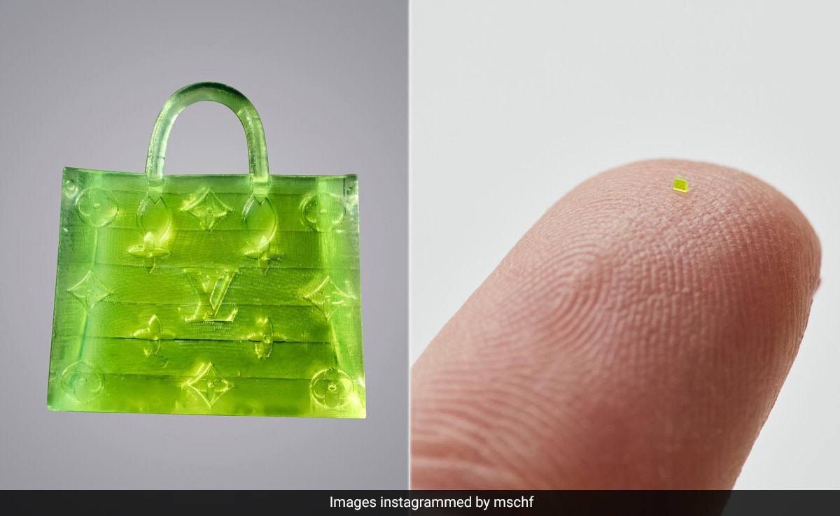 کیفی کوچکتر از یک دانه نمک!/ عکس