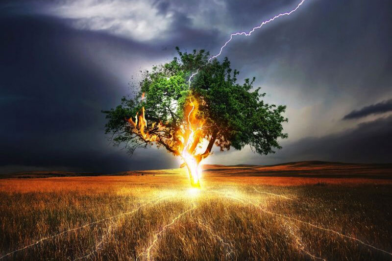 ببینید | برخورد خیره کننده و مهیب یک صاعقه با مزرعه پرورش اسب