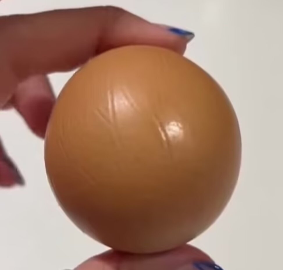 تخممرغ گرد با قیمت چندهزار دلاری در یک سوپرمارکت پیدا شد/ عکس