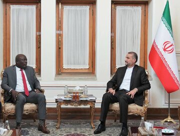 Iran FM stresses enhanced ties with African states