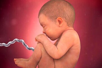 تصمیم عجیب وزارت بهداشت؛ مجوز تولید و واردات کیتهای غربالگری سه ماهه اول بارداری متوقف شد؟