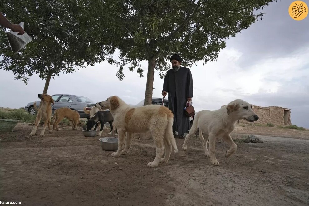 این روحانی در ایران پرطرفدار شد!