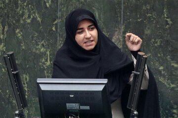 انتقاد تند یک نماینده مجلس از بنیادهای مذهبی و فرهنگی در خارج از کشور / برخی از سفرای ما پادوهای خانوادگی سیاسیون در فروشگاههای زنجیرهای خارج هستند