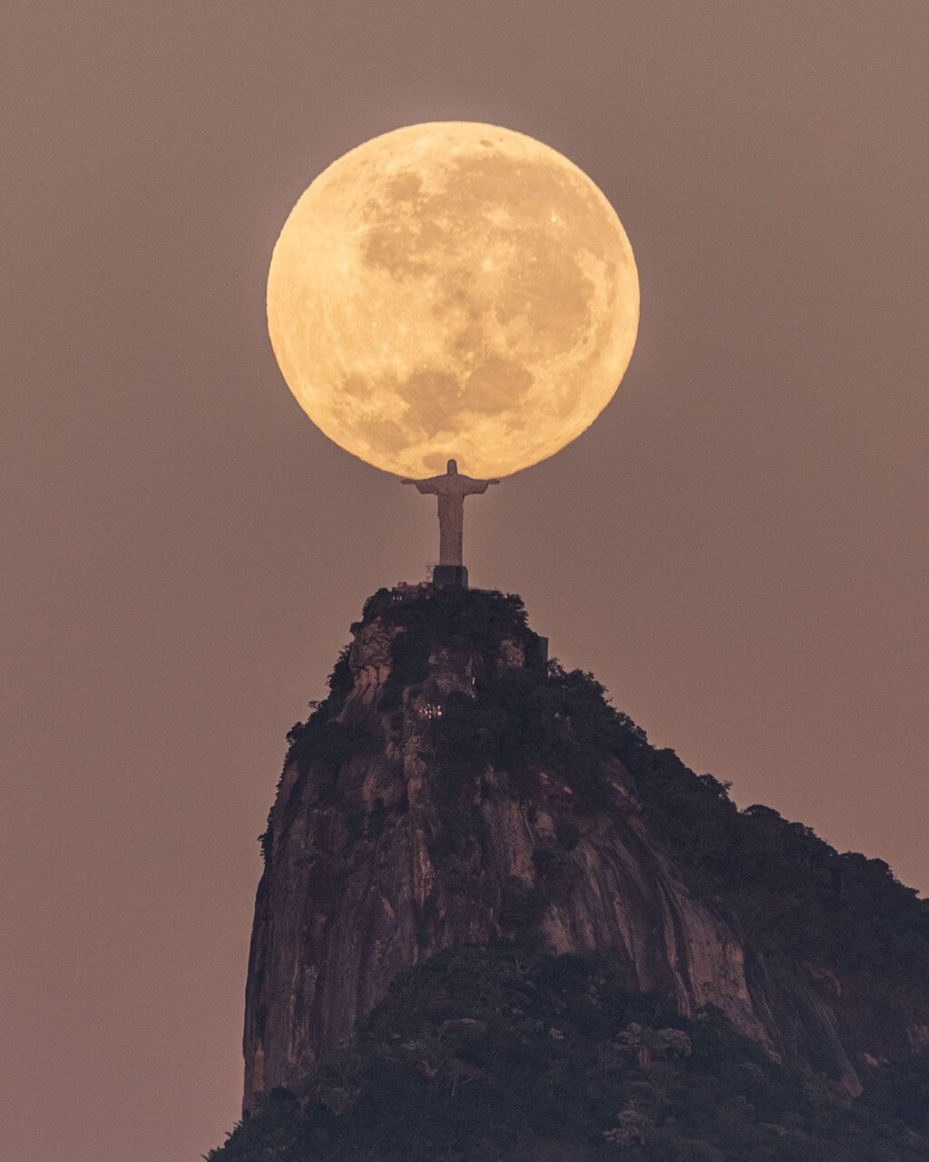 عکاس برزیلی بعد از سه سال موفق به ثبت این عکس بی‌نظیر شد/ عکس