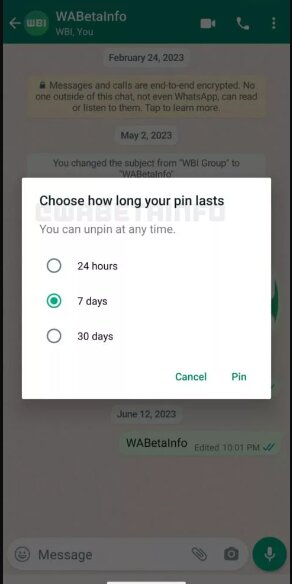ایده جدید واتساپ برای پین کردن پیامها / عکس
