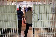 ببینید | اعلام رئیس سازمان زندان‌ها: طبری،نجفی و هاشمی در زندان نیستند!
