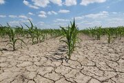 رکورد دار خشک ترین استان درفصل بهار را بشناسید