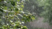 بارشهای خفیف اصفهان را فرامی گیرد/ احتمال توفان لحظه‌ای