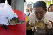 ببینید | تصاویر جنجالی از ازدواج آقای شهردار با یک تمساح!
