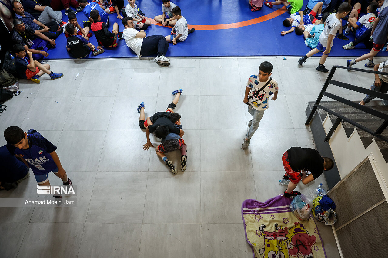 کشتی پهلوانک ها