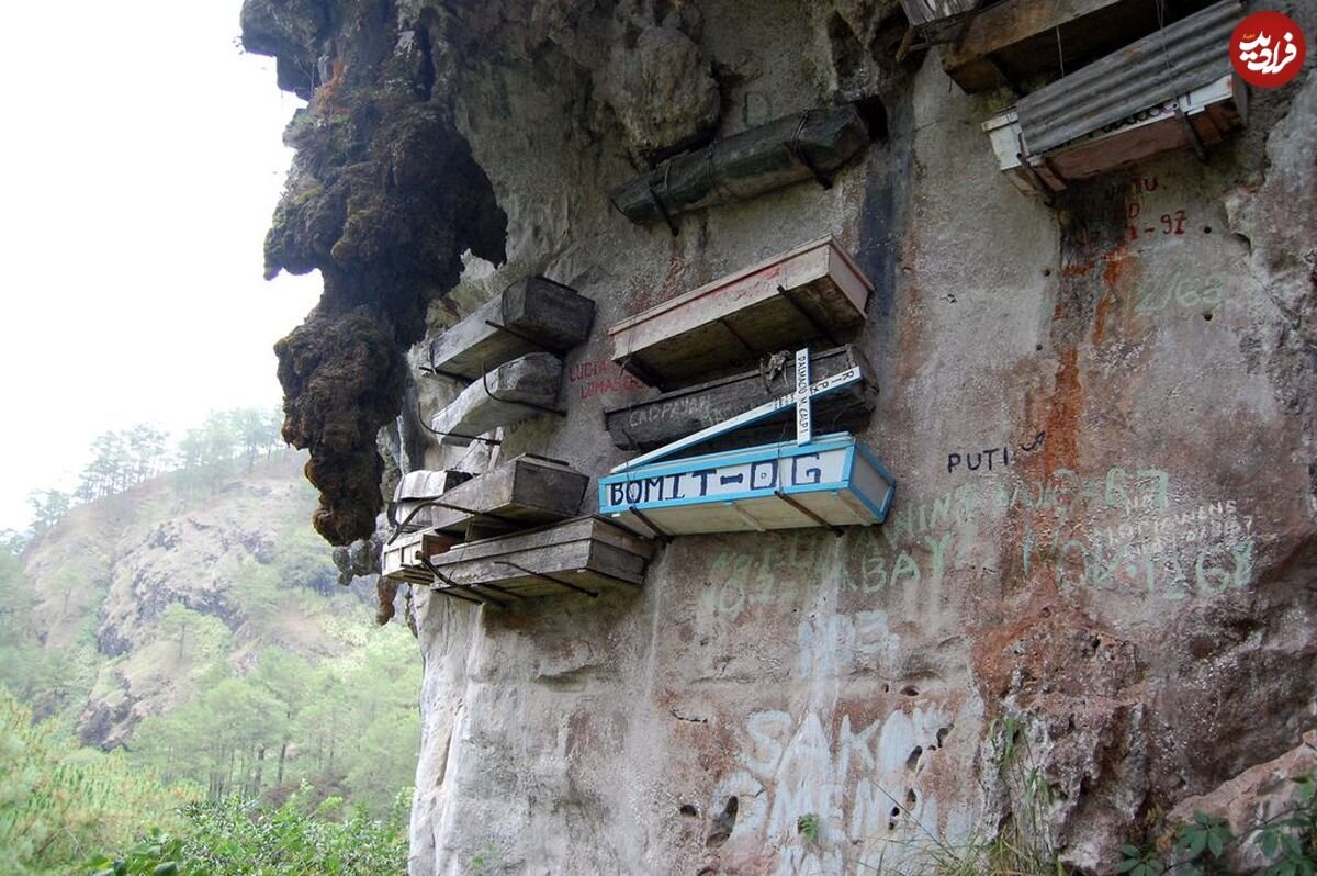 گورستانی عجیب برای آویزان کردن مردگان!/ عکس