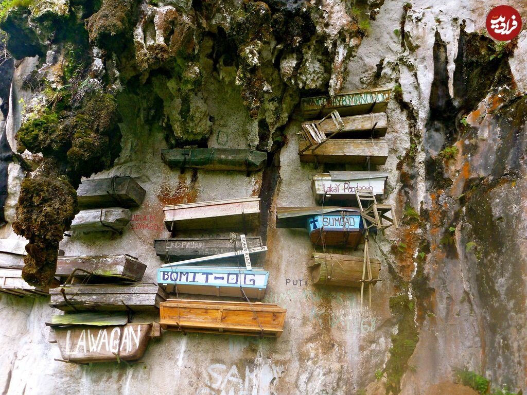 گورستانی عجیب برای آویزان کردن مردگان!/ عکس