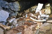 کشف یک غار عجیب پر از استخوان‌ در روسیه/ عکس