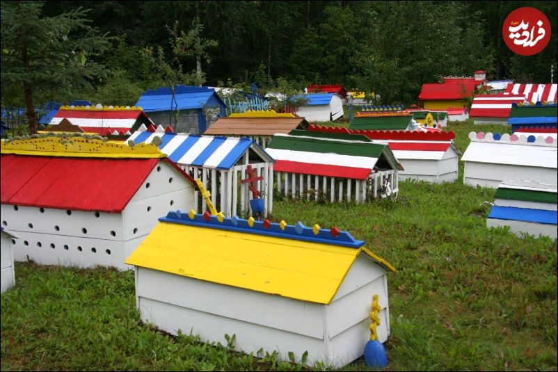 عجیبترین گورستانهای جهان؛ از رستوران تا باند فرودگاه!/ عکس