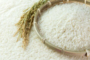 ببینید | ترفندی ساده برای تشخیص برنج اصلی از برنج پلاستیکی