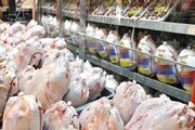 شهروندان ارومیه‌ای: مرغ نیست / مقام مسئول: در بازار کمبود نداریم، مردم زیاد می‌خرند