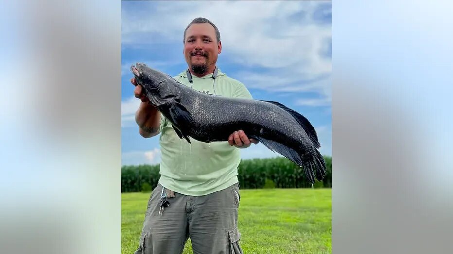 صید یک ماهی کلهماری ۹ کیلویی/ عکس