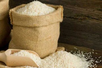  واردات برنج هم شرطی شد