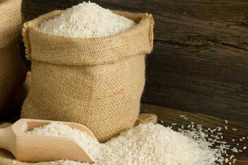 قیمت برنج ایرانی در بازار را ببینید / هاشمی درجه یک کیلویی چند؟ + جدول قیمت قیمت برنج ایرانی در بازار را ببینید / هاشمی درجه یک کیلویی چند؟ + جدول قیمت