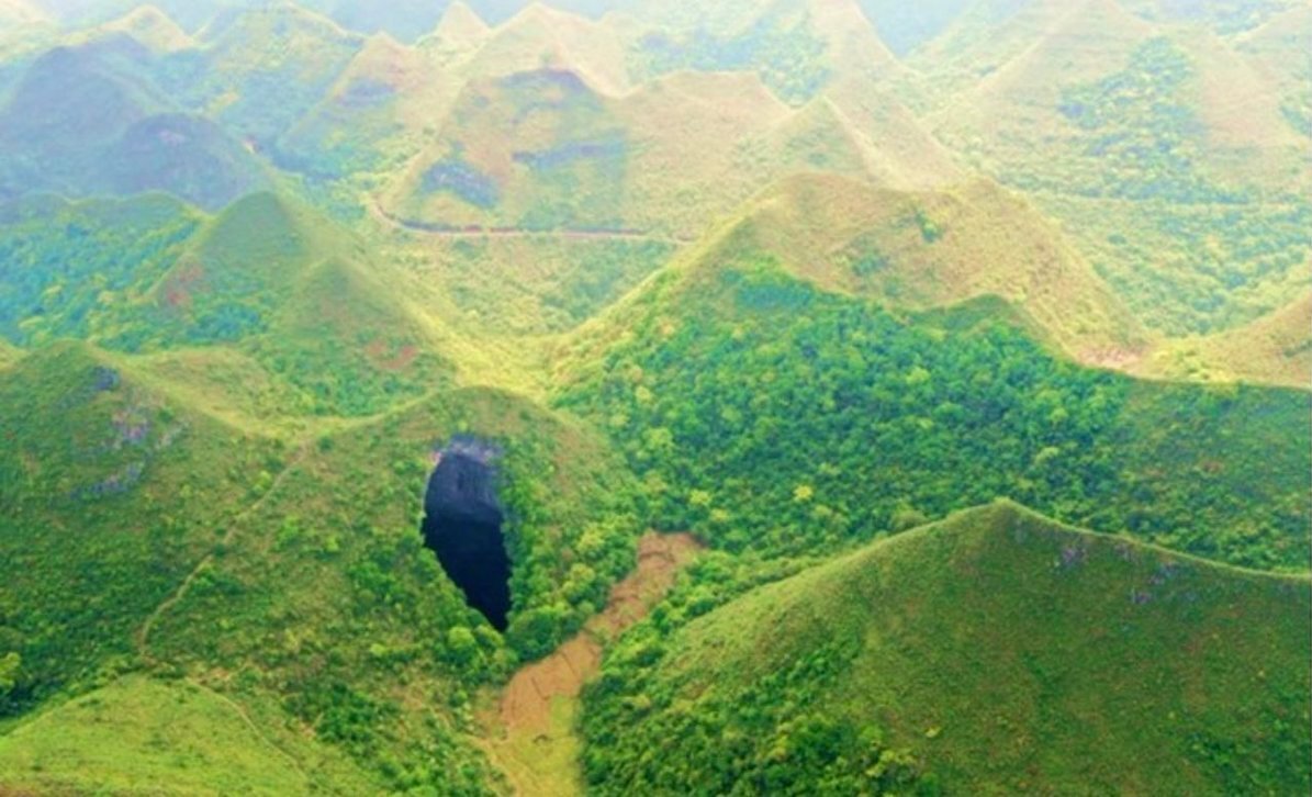 کشف «جهان گمشده» در دل جنگل ماقبل تاریخ