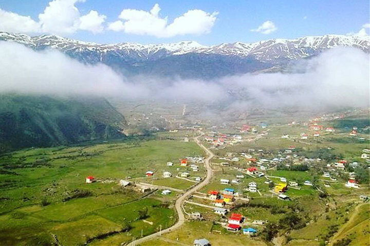 ببینید | وضعیت نگران‌کننده جنگل ابر