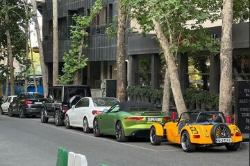 ماشین پارک کن پول بگیر! / شغلی که از آن خبر ندارید ماشین پارک کن پول بگیر! / شغلی که از آن خبر ندارید